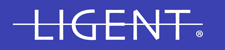 Ligent Web logo